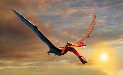 An artistic impression of a flying Pterosaur